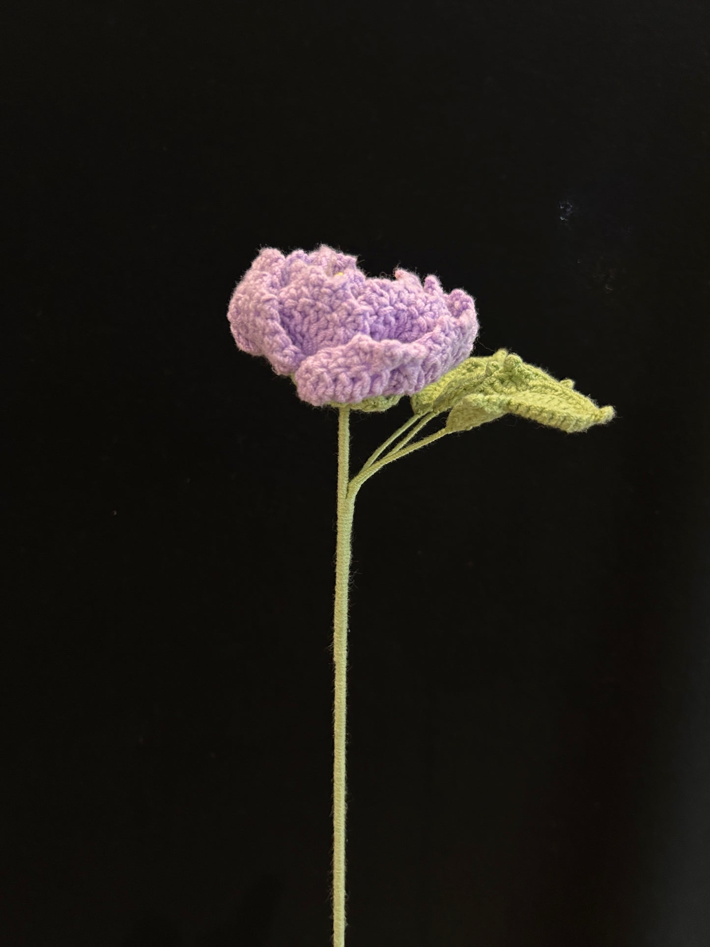 Peony