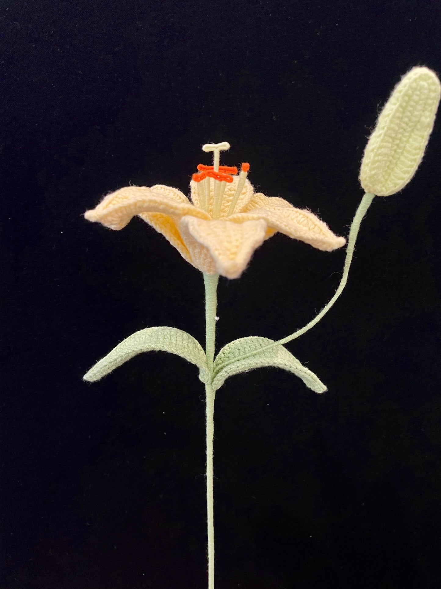 Handmade Crochet Long Stem Flower —— Lily