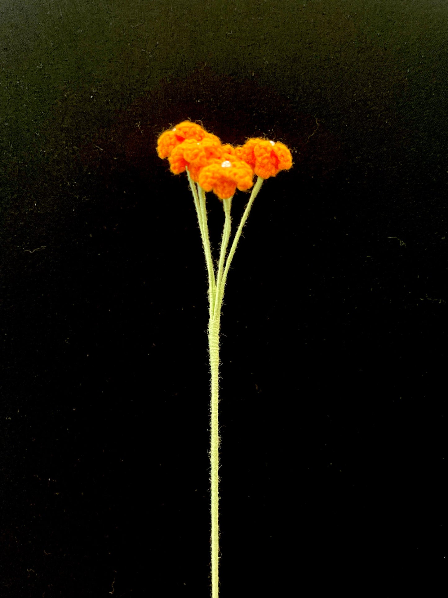 Baby’s Breath