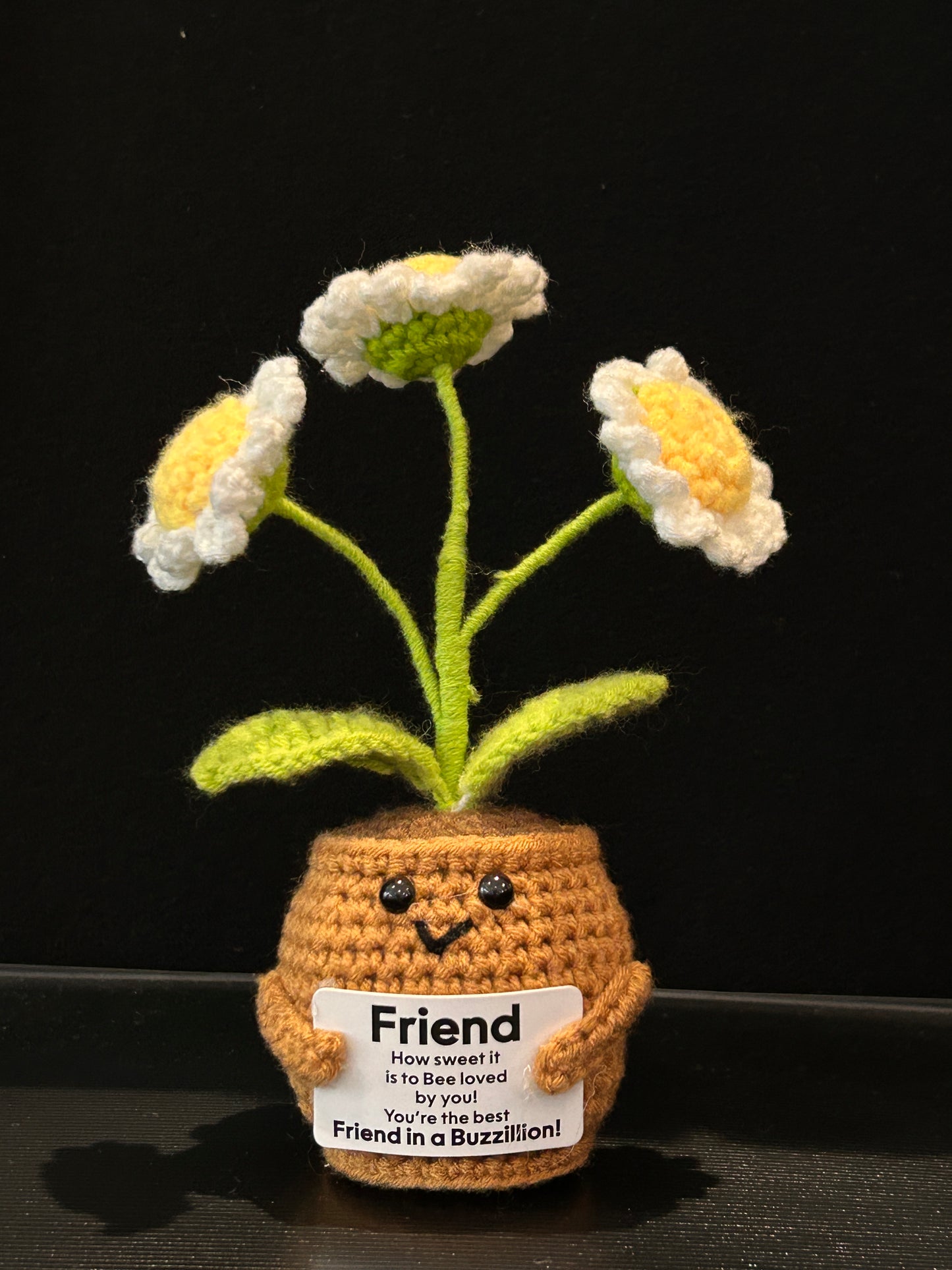 Emotional Support Plant (Three Daisies)