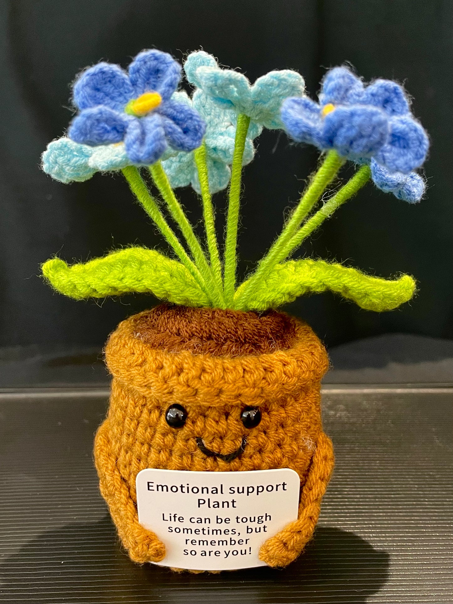 Emotional Support Plant (Foget-me-not)