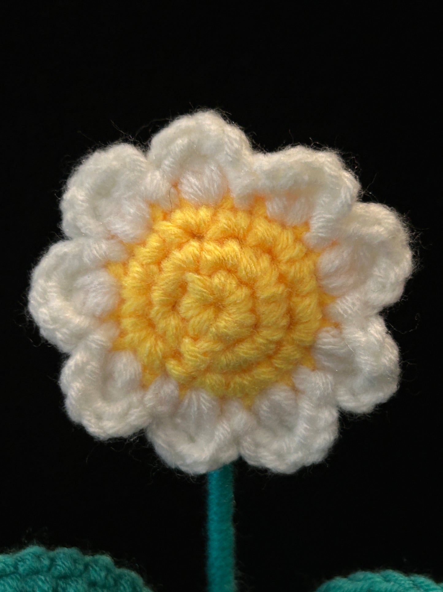 Emotional Support Plant (Daisy)