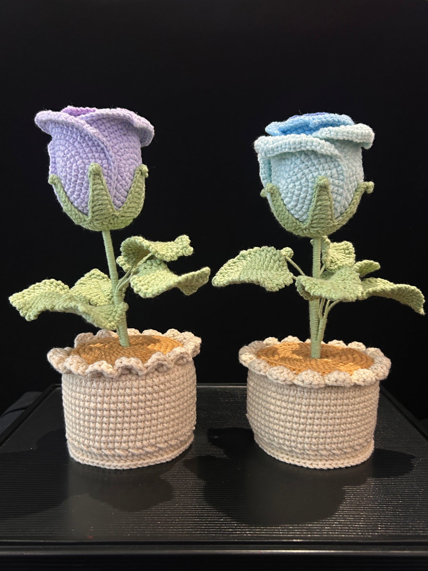 Rose Pot (Single)