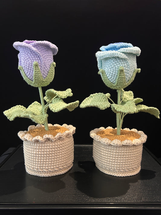 Rose Pot (Single)