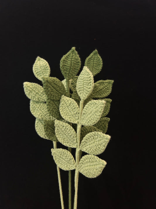 Pinnate Leaves