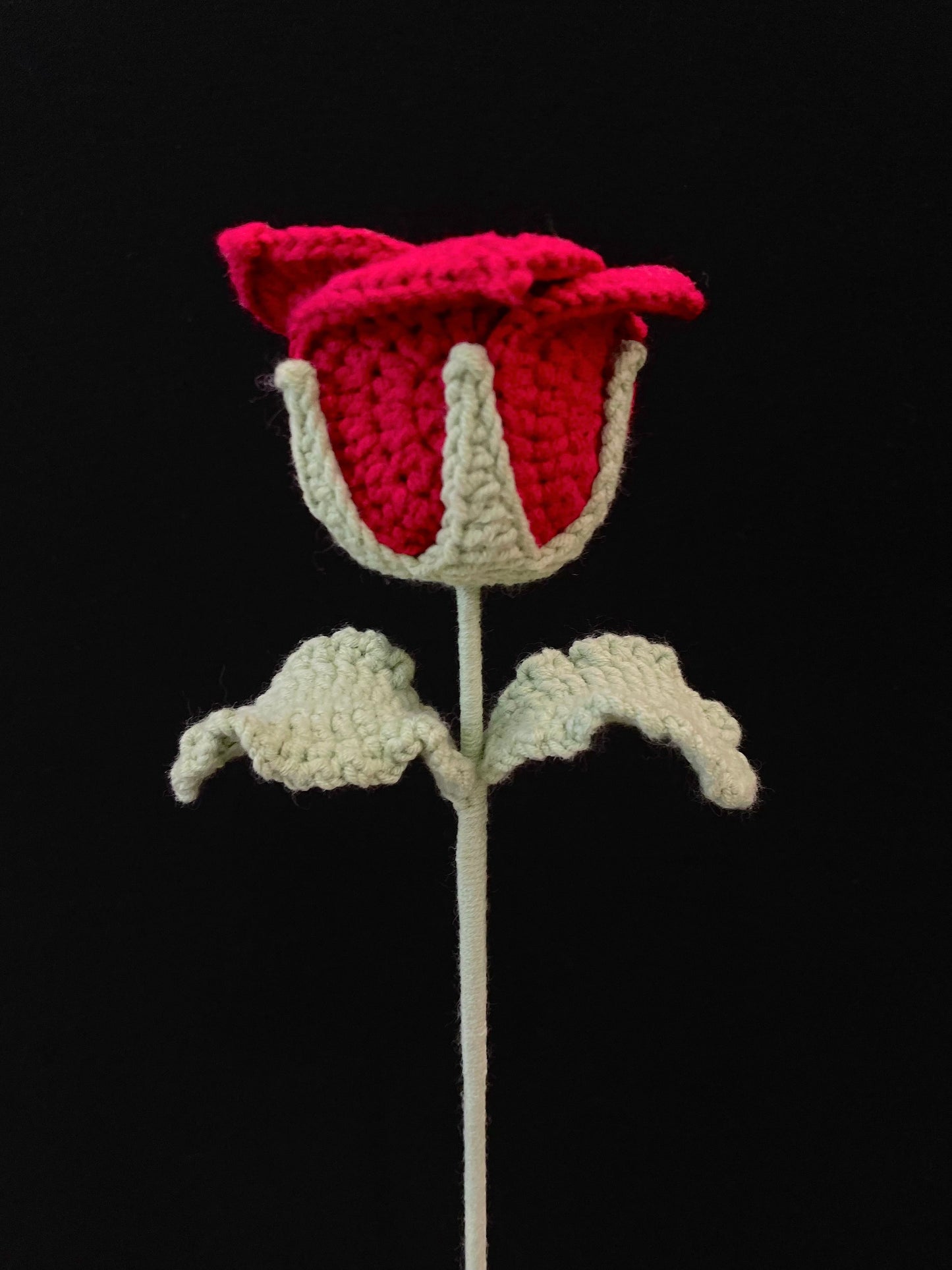 Thai Rose