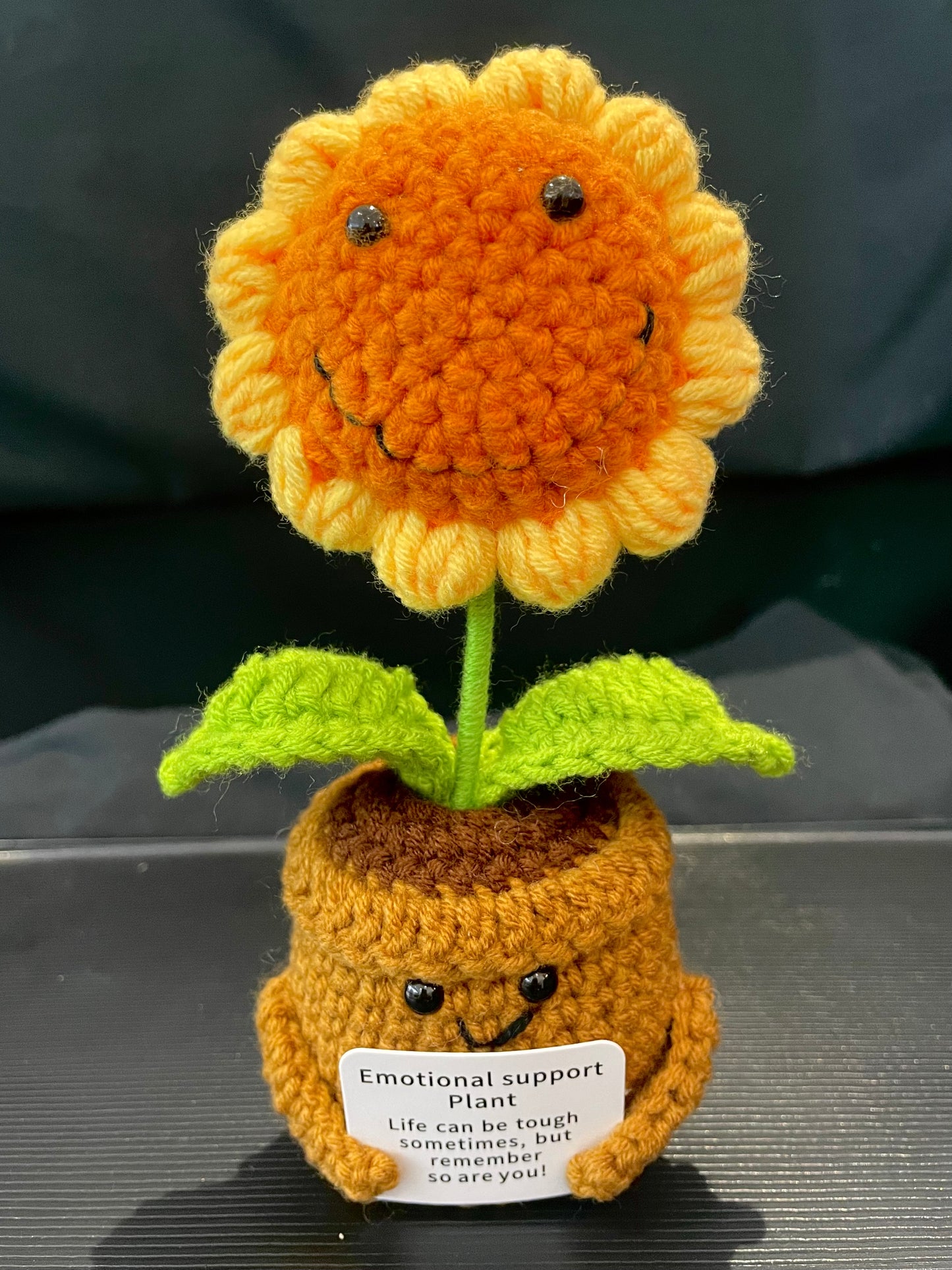 Emotional Support Plant (Sunflower)