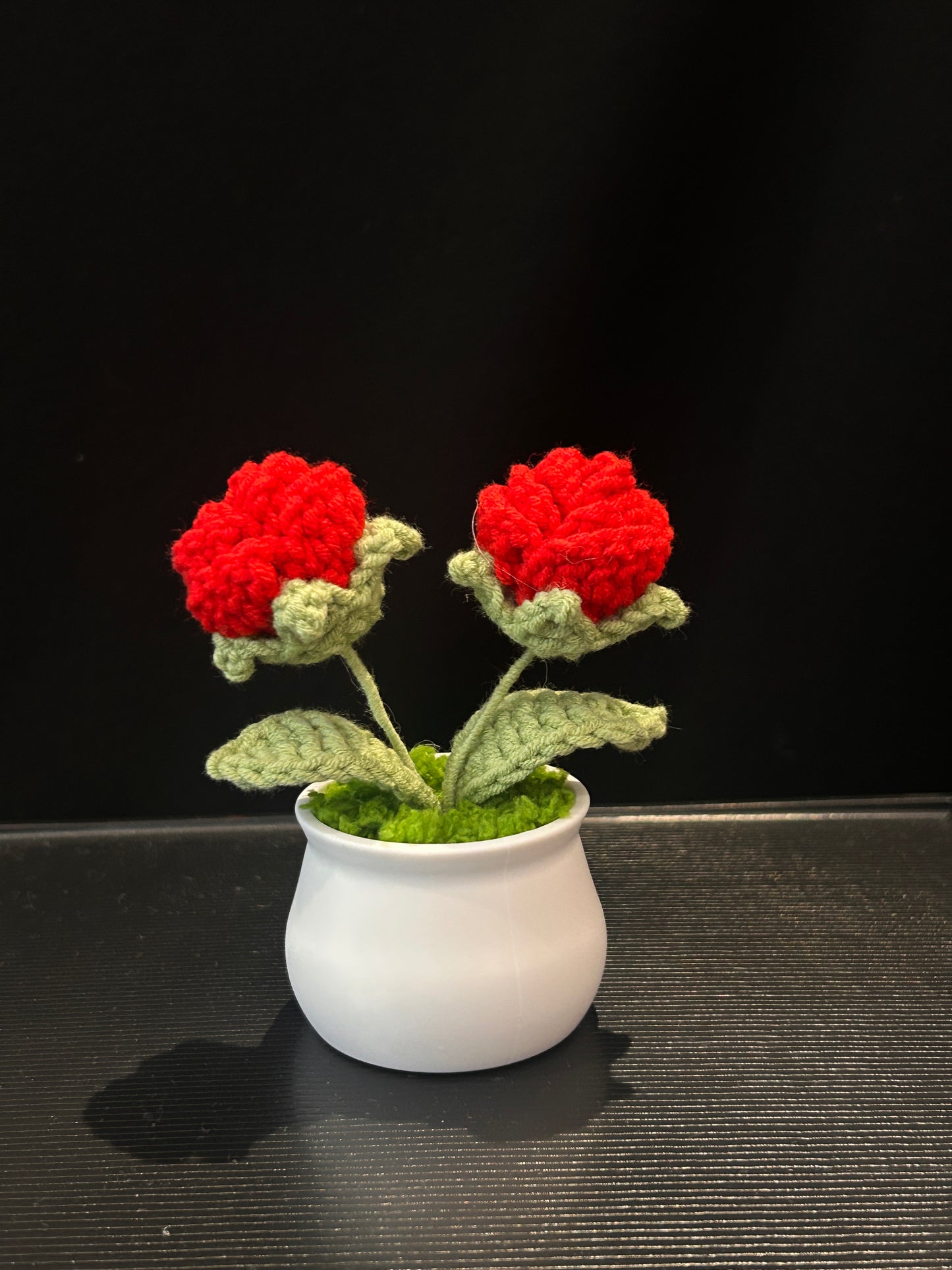 Rose in White Pot