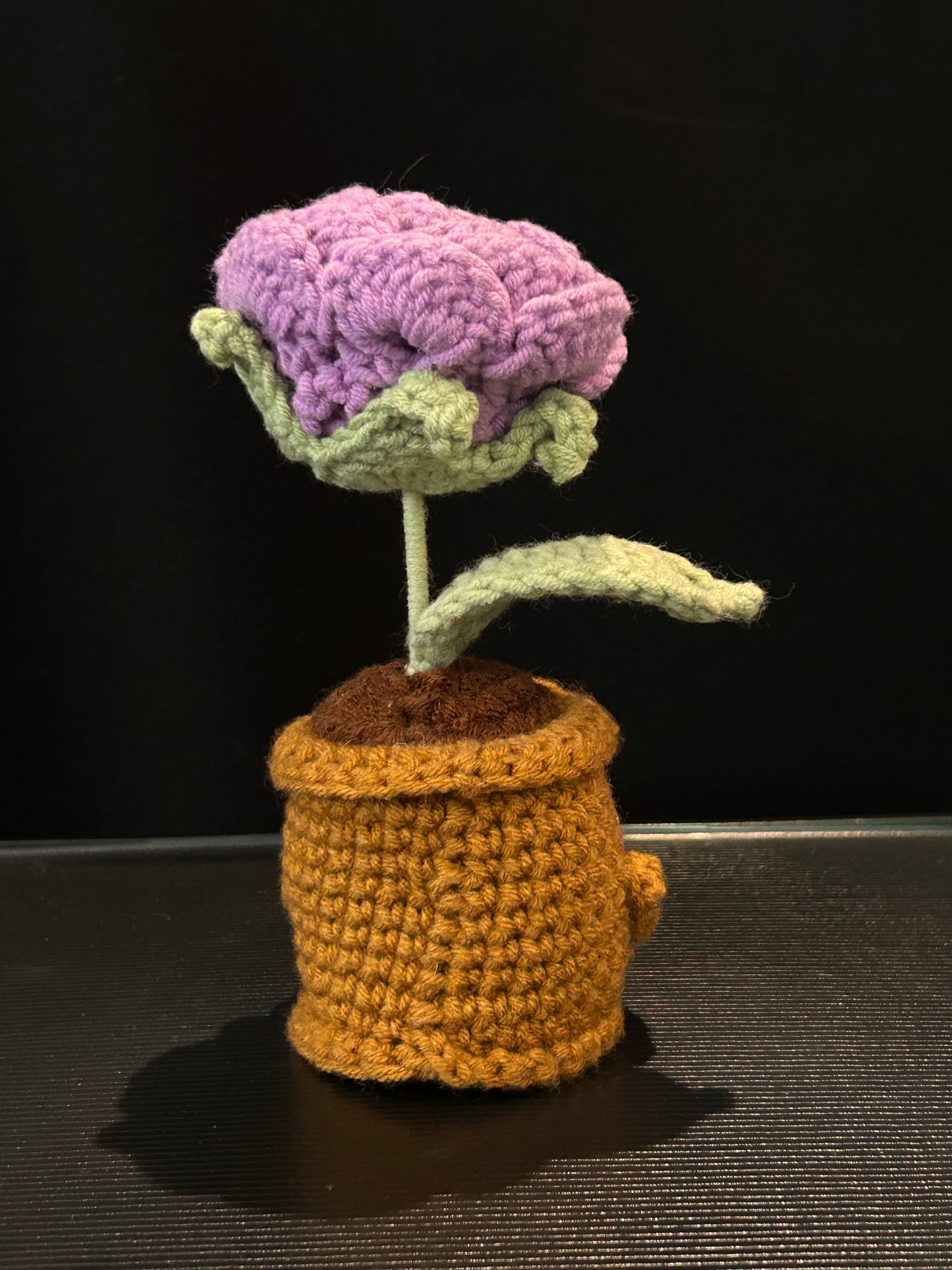 Emotional Support Plant (Rose)