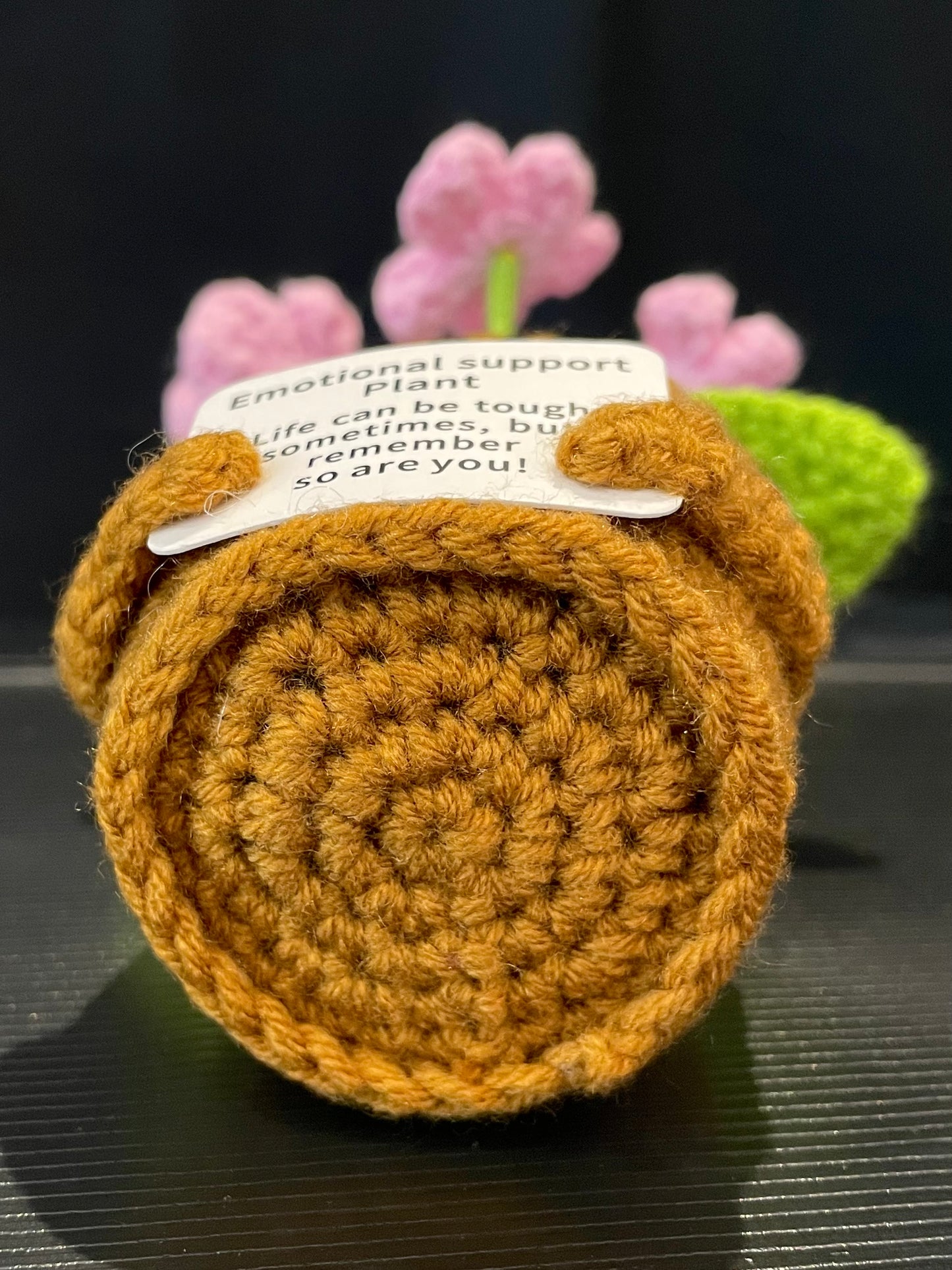 Emotional Support Plant (Foget-me-not)