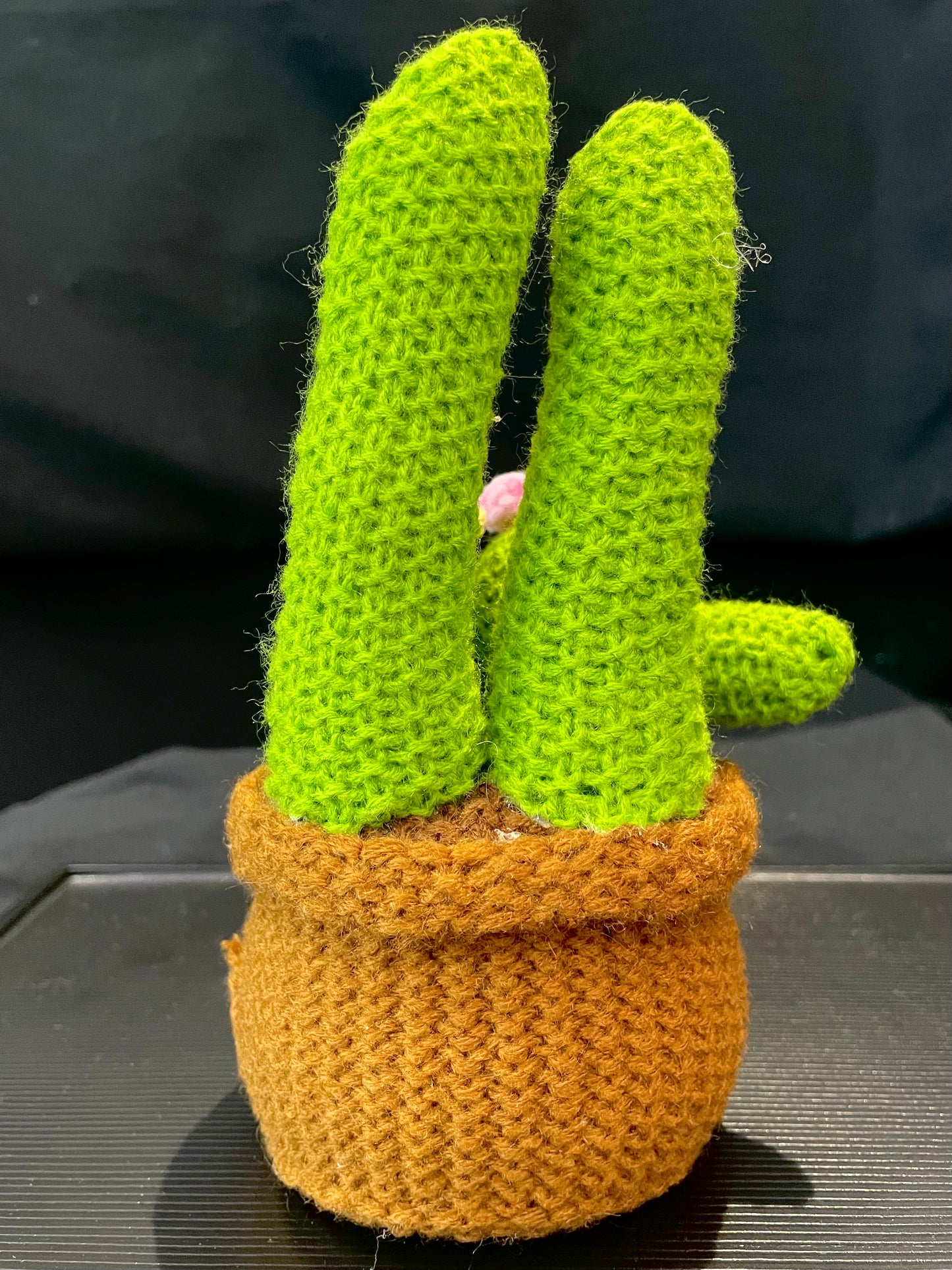 Emotional Support Plant (Cactus)