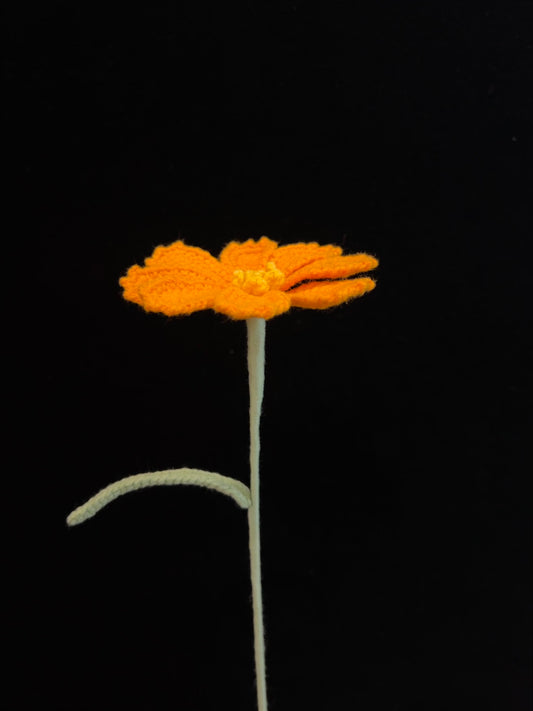 Handmade Crochet Long Stem Flower —— Galsang Flower