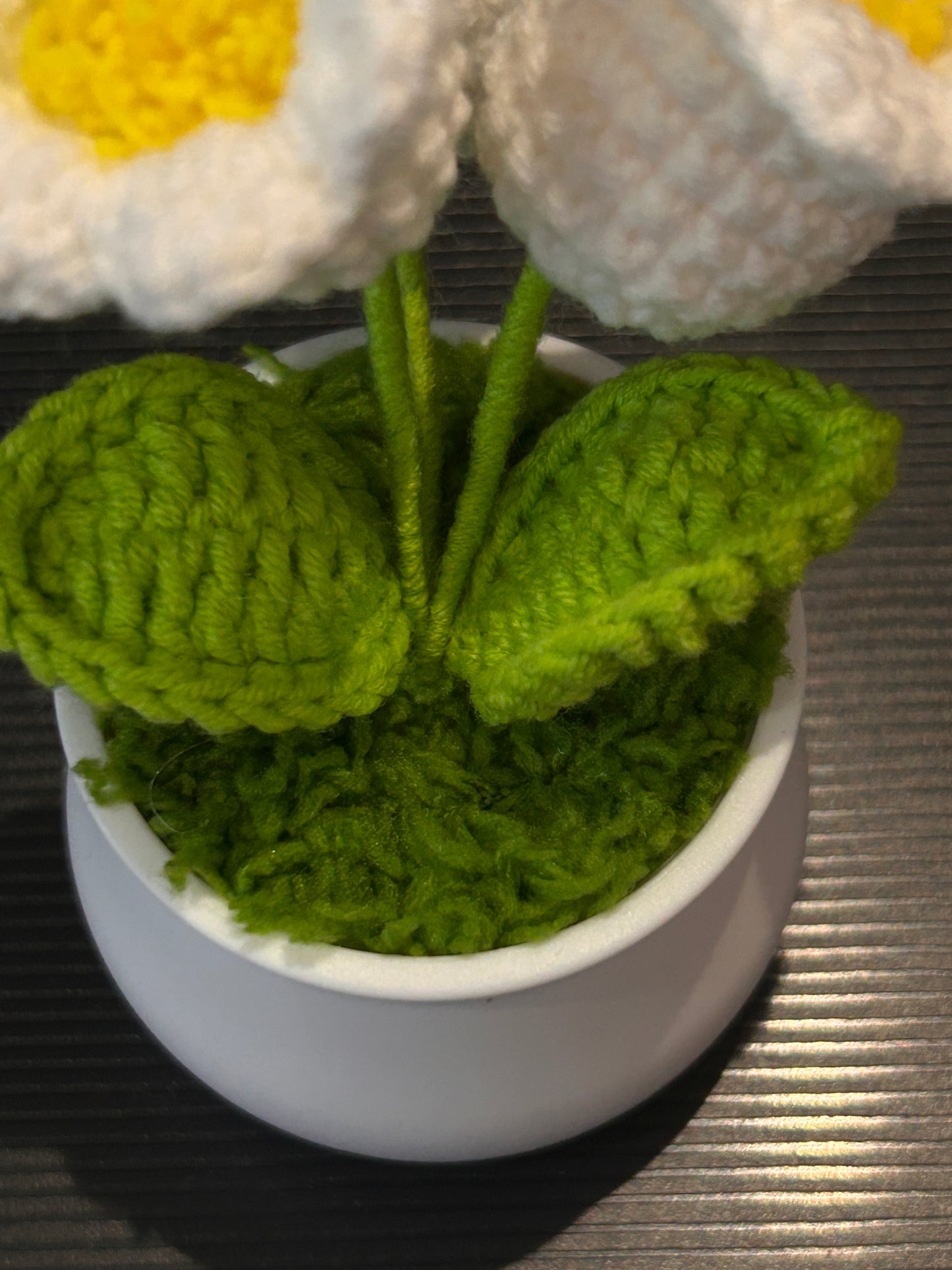 Lily of the Valley in White Pot