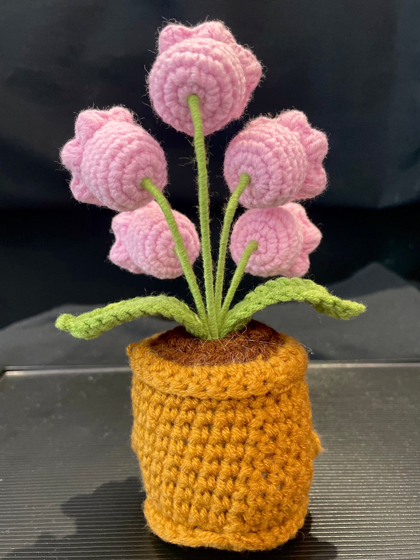 Emotional Support Plant (Lily of the Valley)