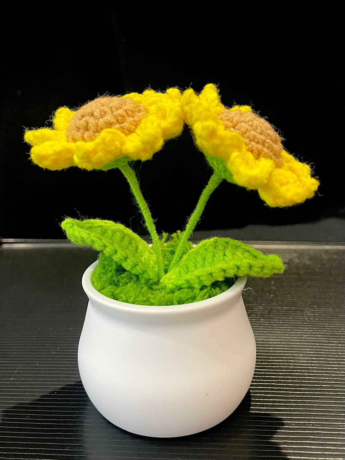 Double Sunflowers in White Pot
