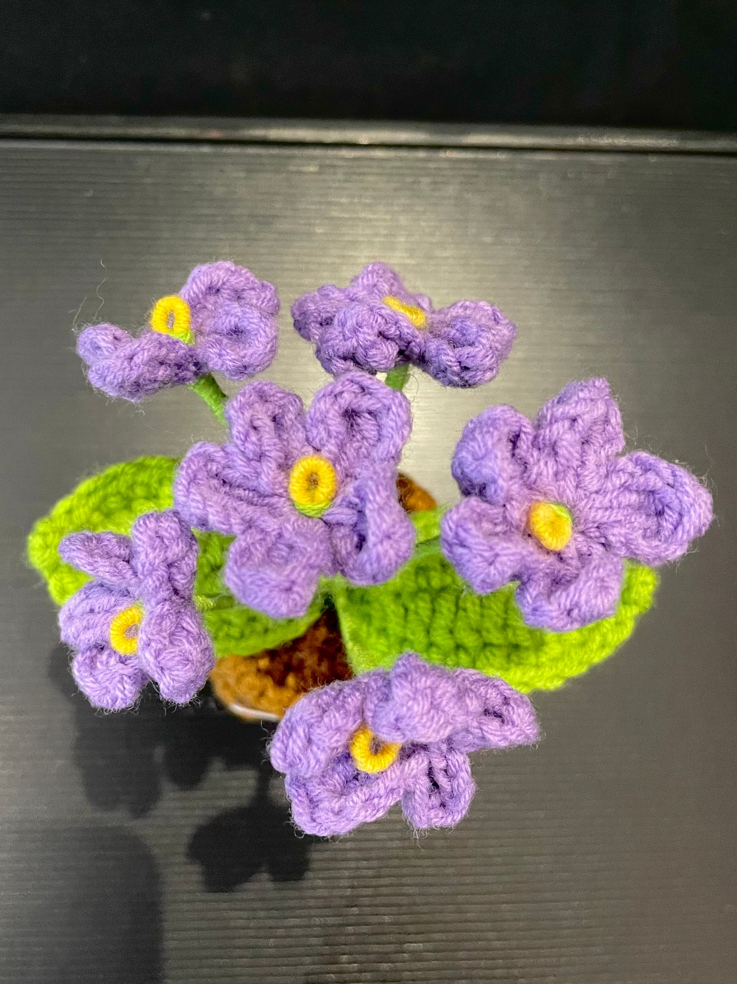 Emotional Support Plant (Foget-me-not)
