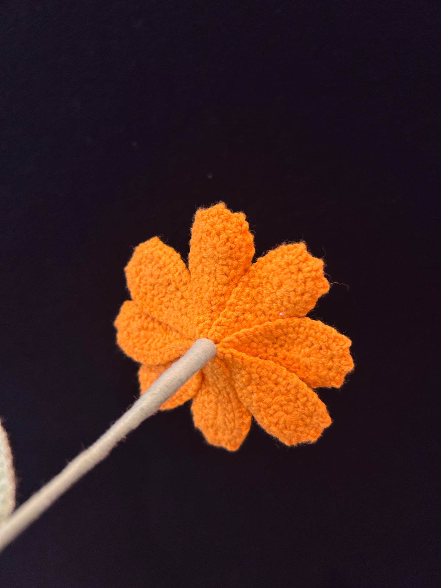Galsang Flower