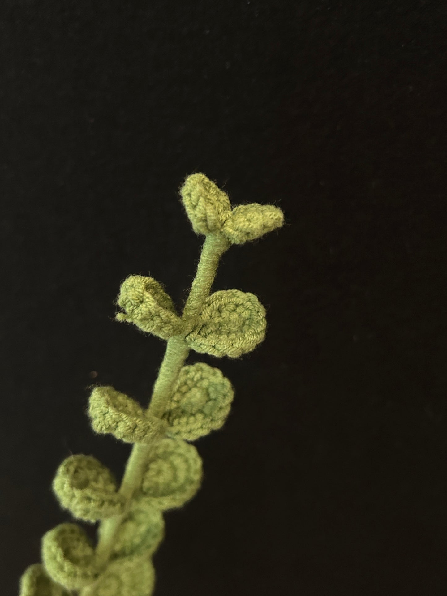 Handmade Crochet Long Stem Leaves —— Simple Alternate Leaves