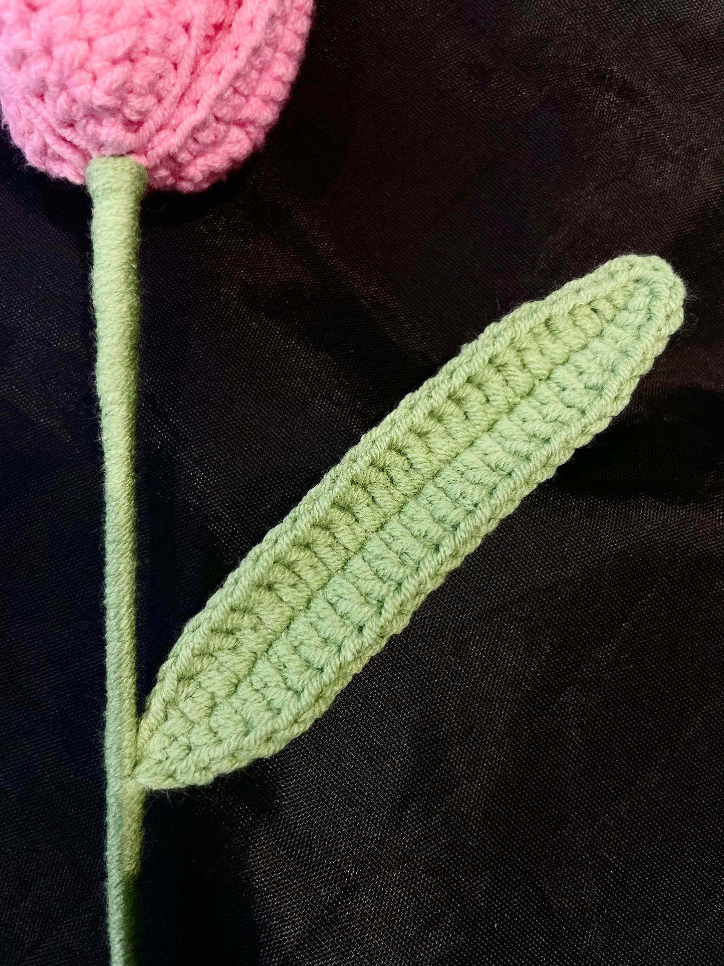 Tulip