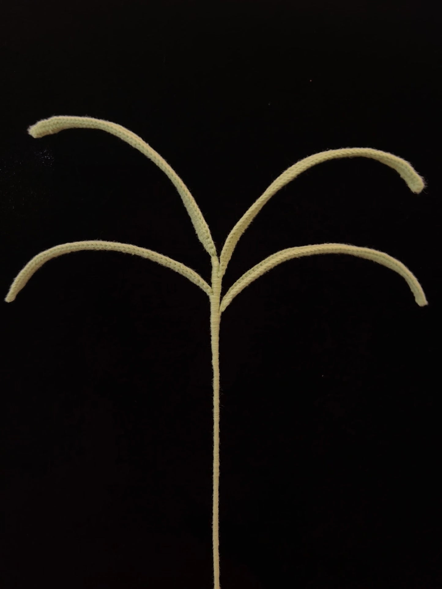 Forked Sprout