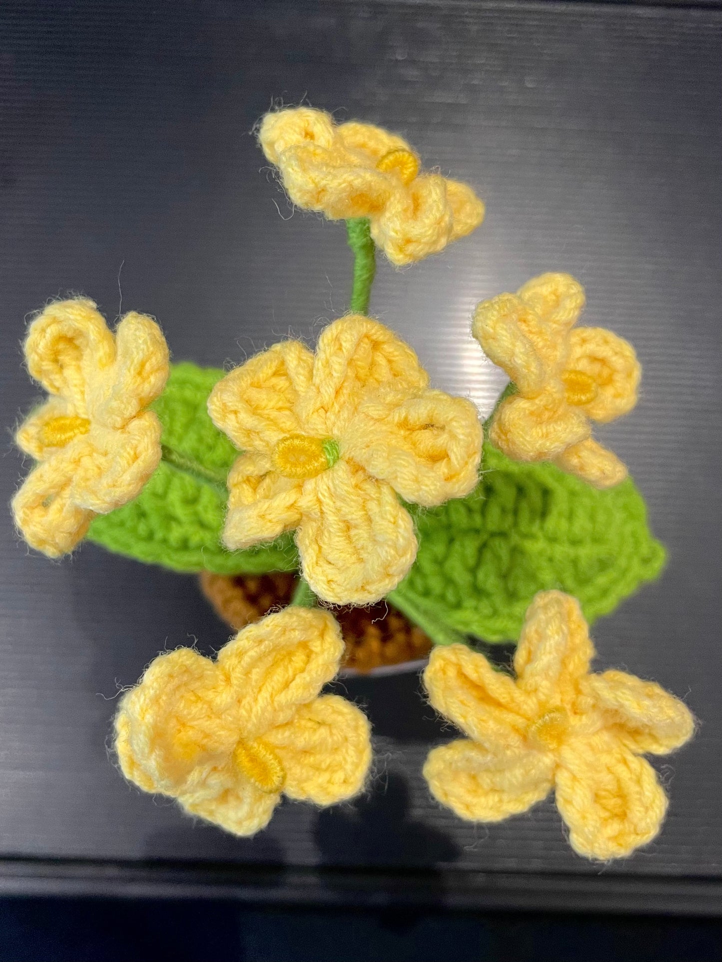 Emotional Support Plant (Foget-me-not)