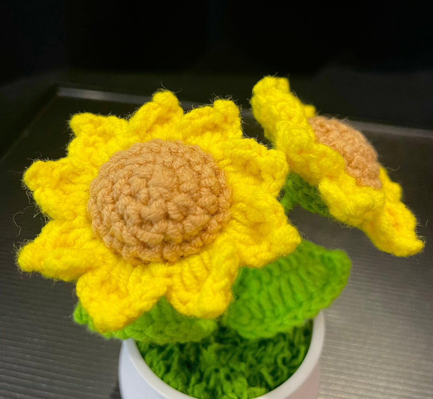 Double Sunflowers in White Pot