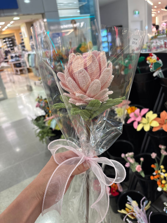 handmade crochet Protea King flower
