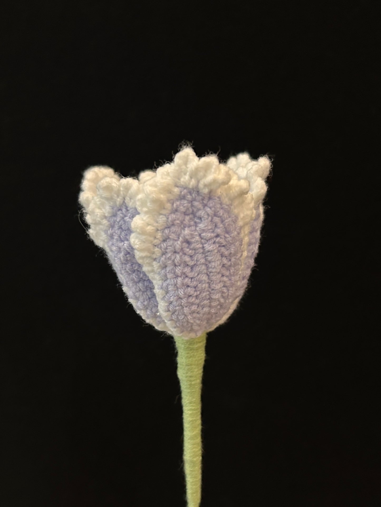 Tulip (Curly Petal)