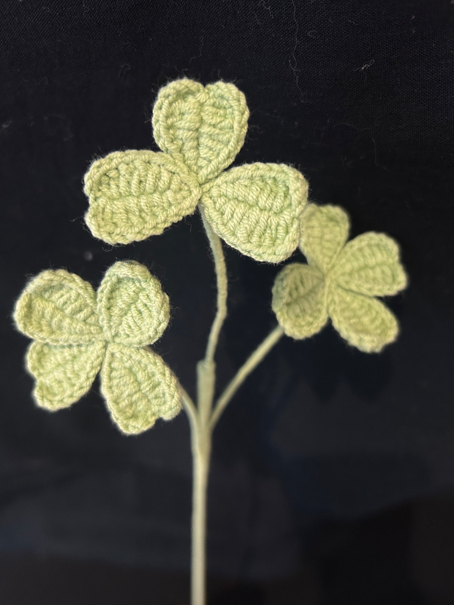 Clover Leaves