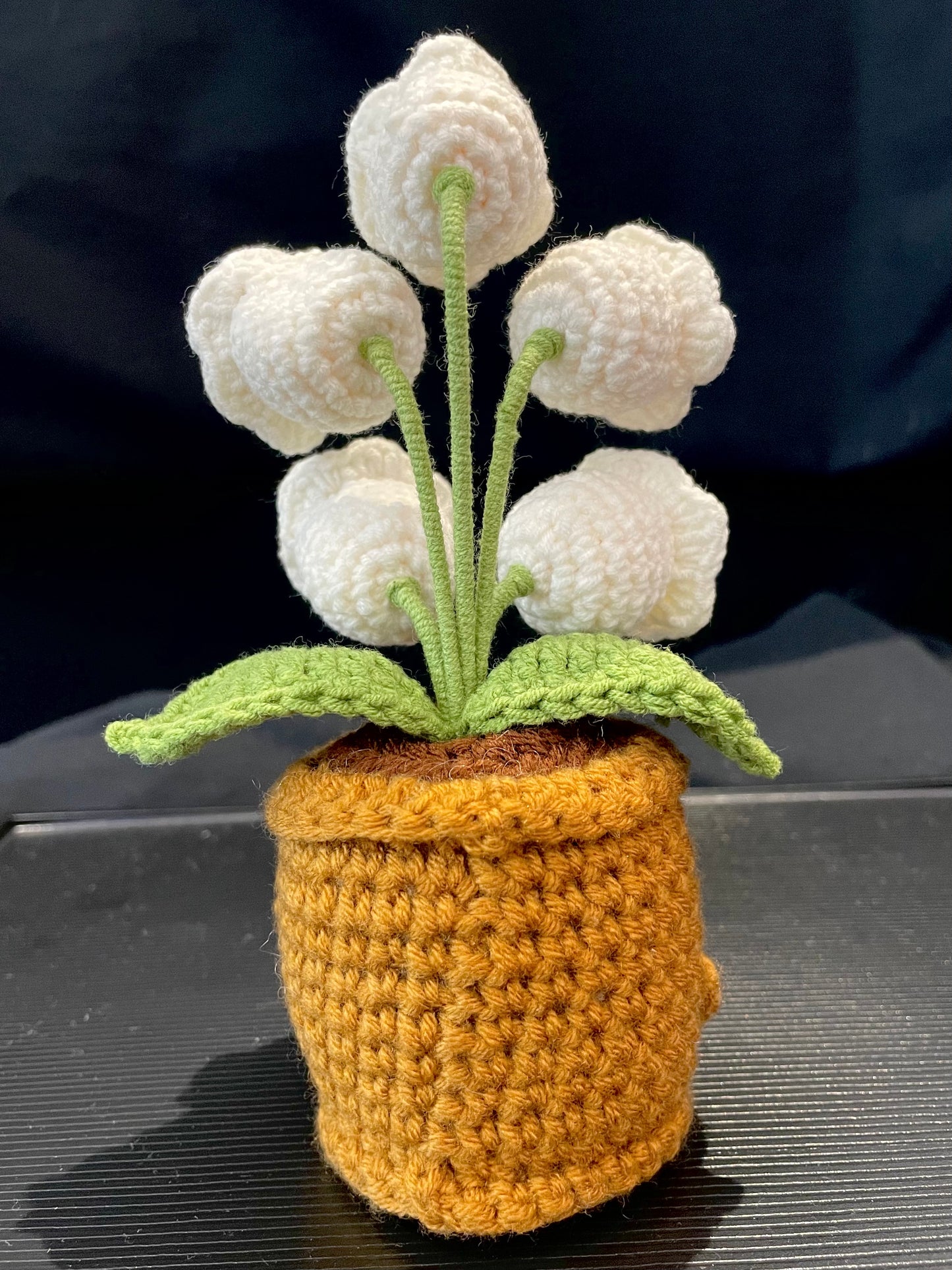 Emotional Support Plant (Lily of the Valley)