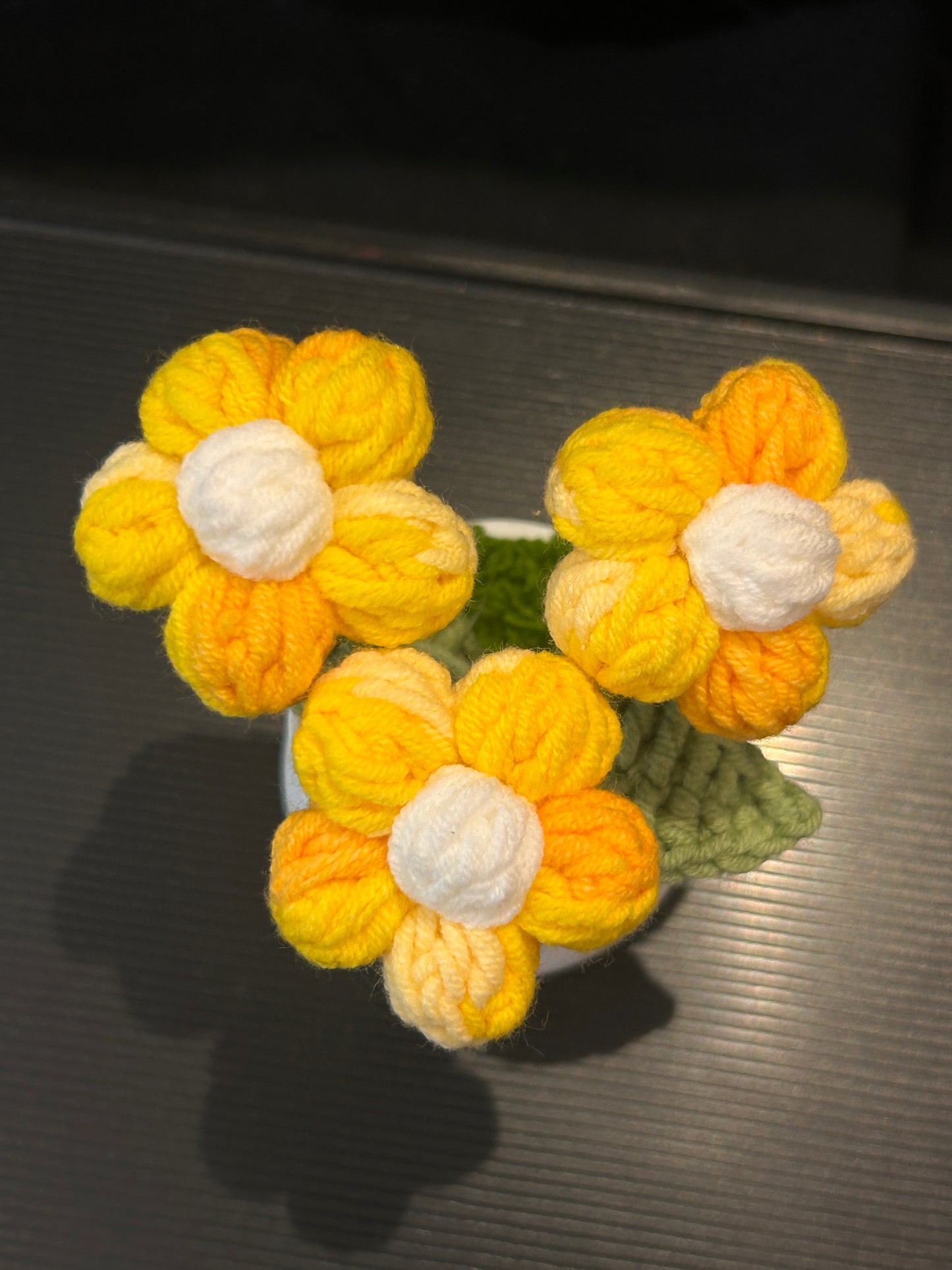 Puff Flower in White Pot