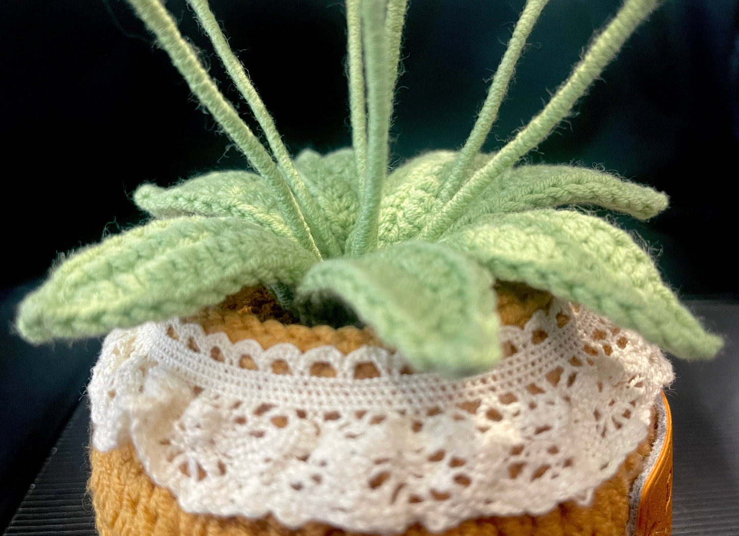 Daisy Pot
