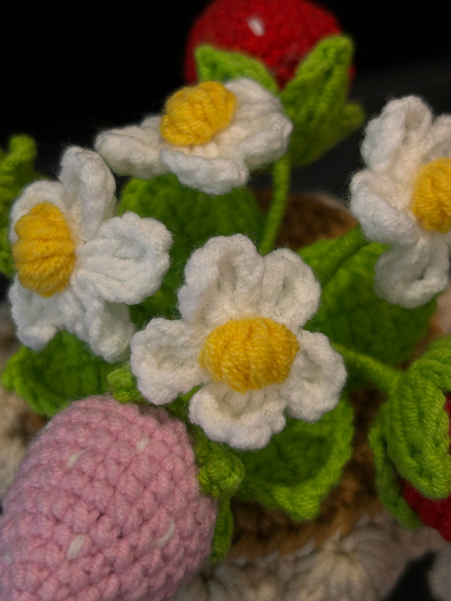 Strawberry Pot (Small)