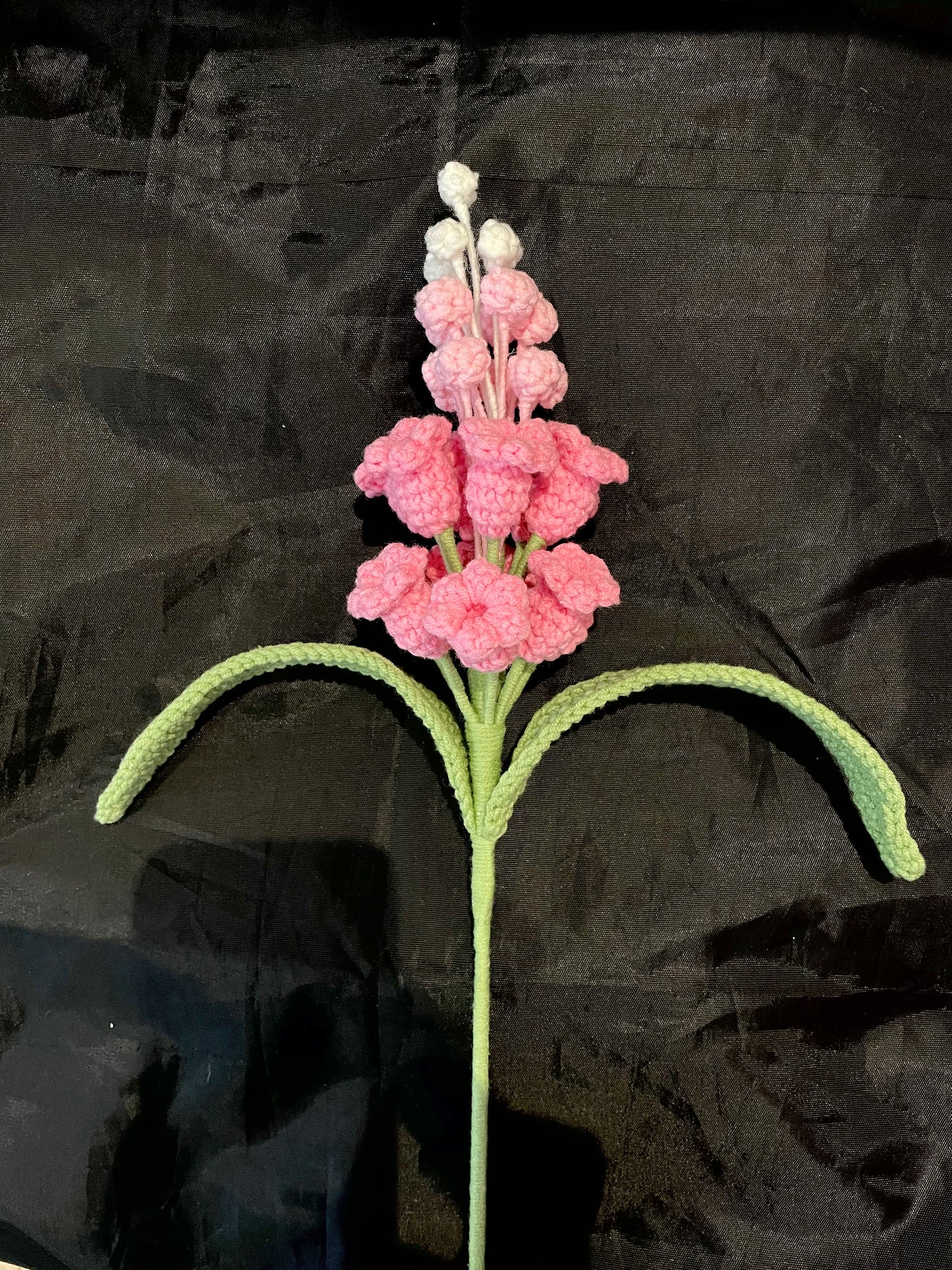 Hyacinth