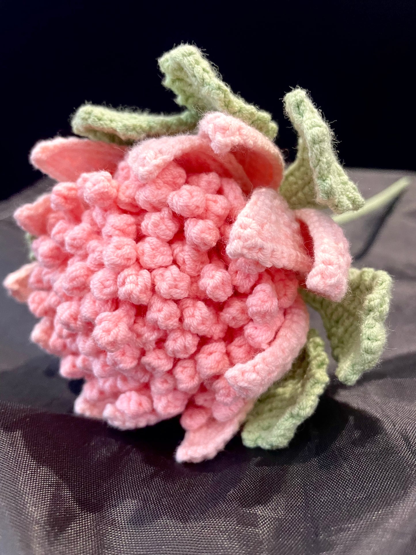 Protea