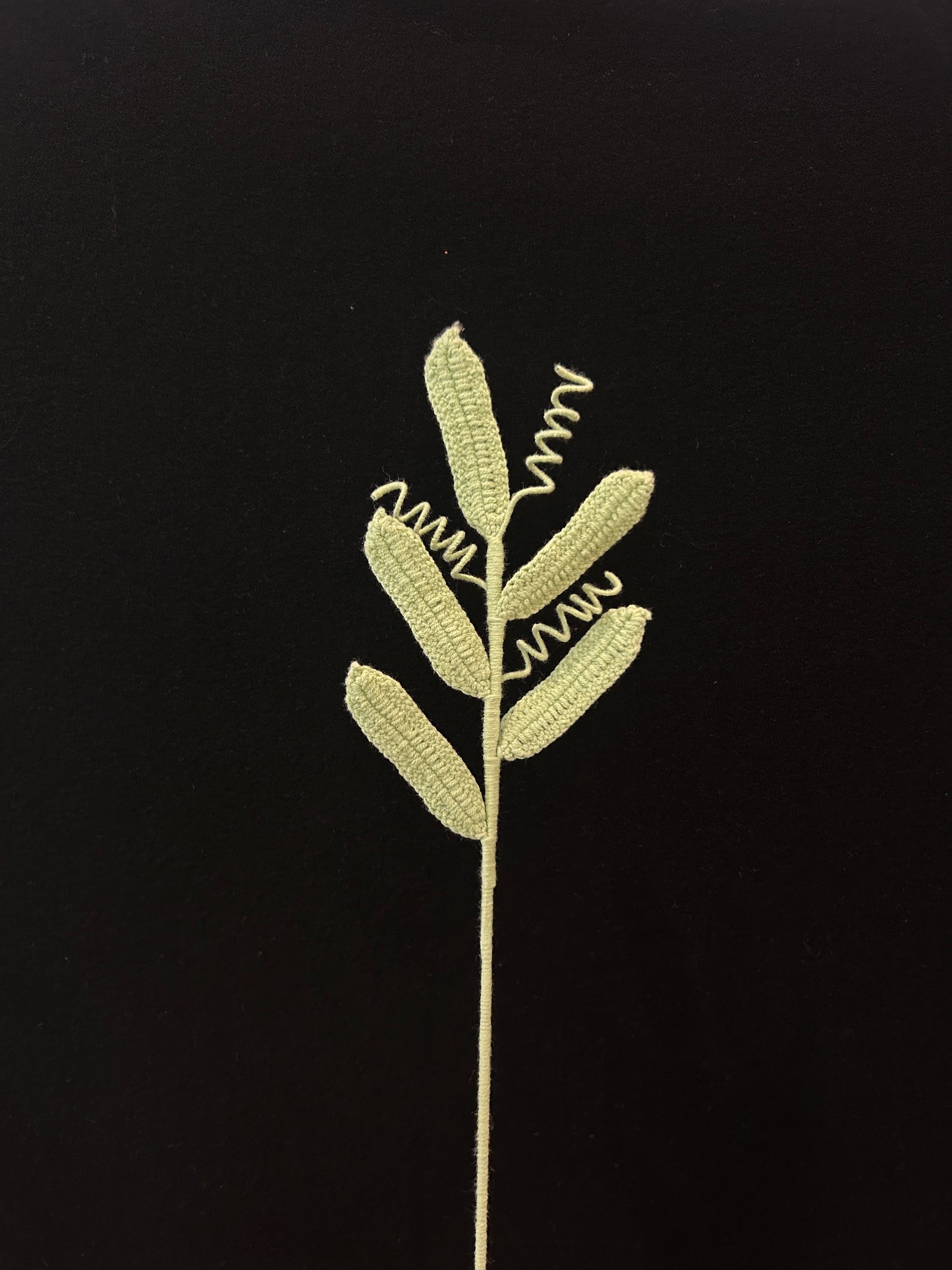 Leaf with Tendrils