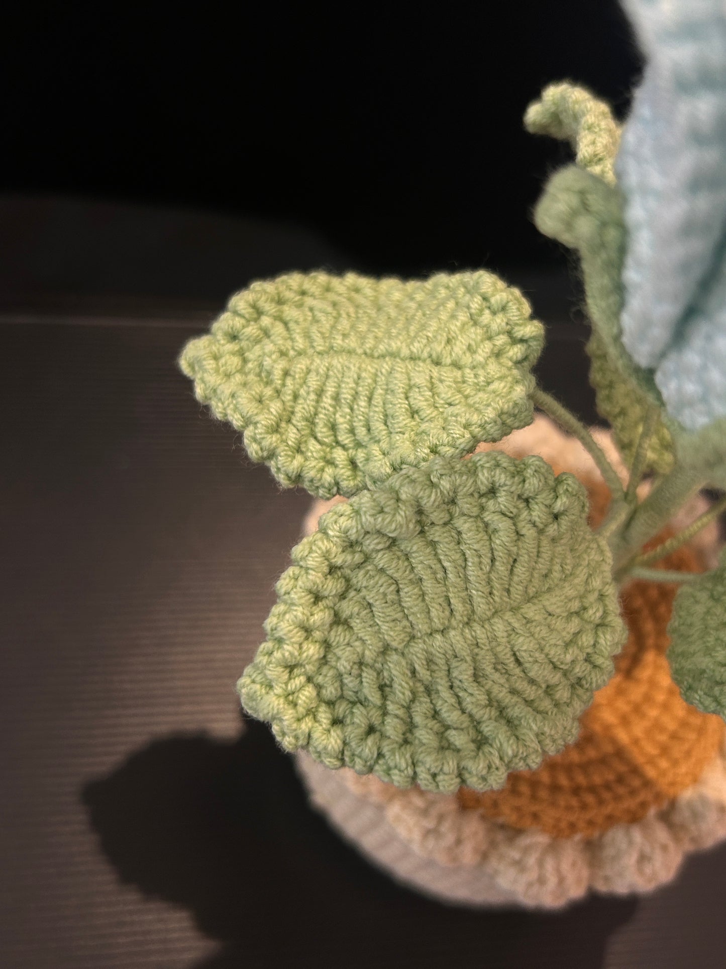 Rose Pot (Single)