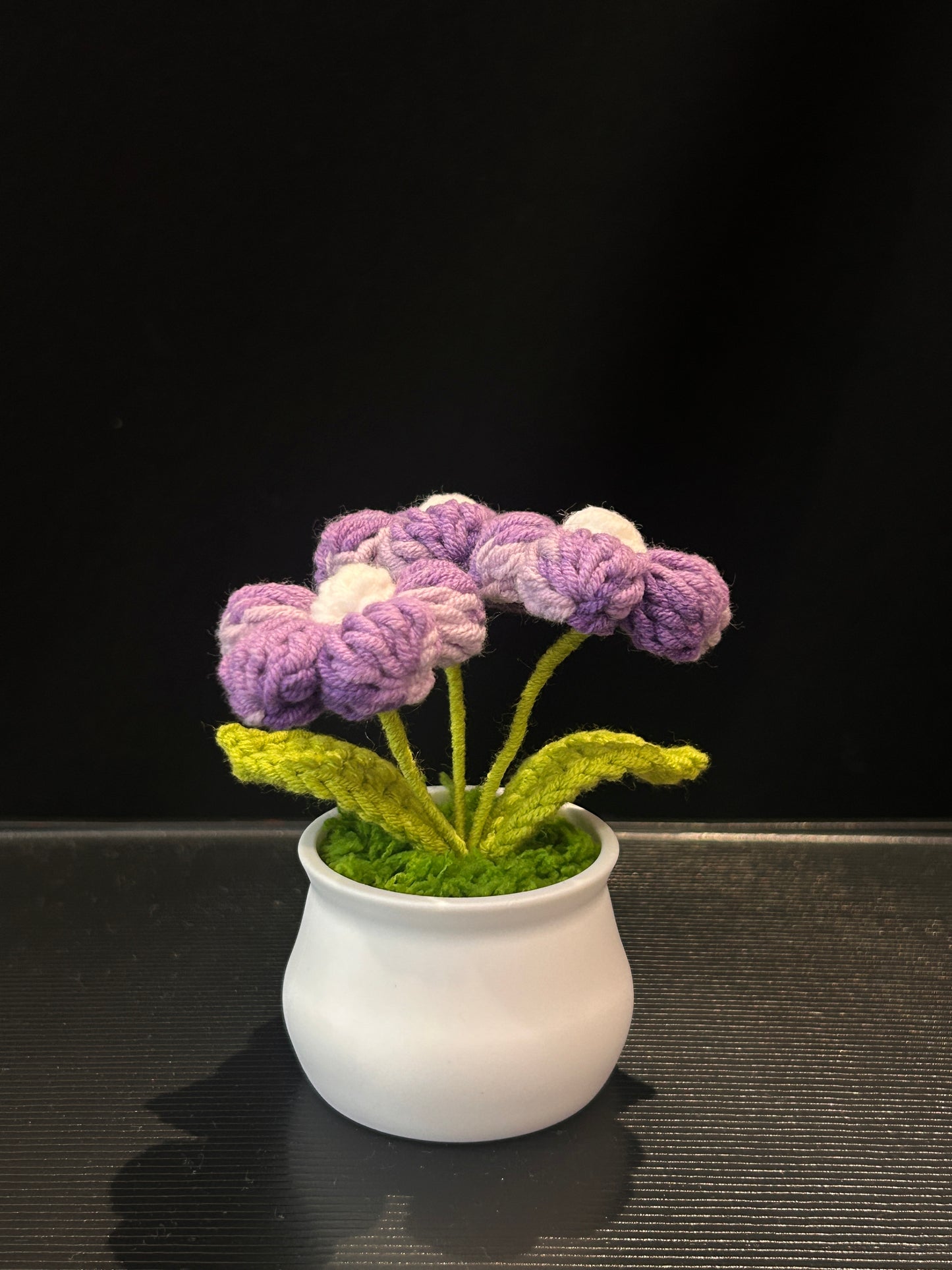 Puff Flower in White Pot