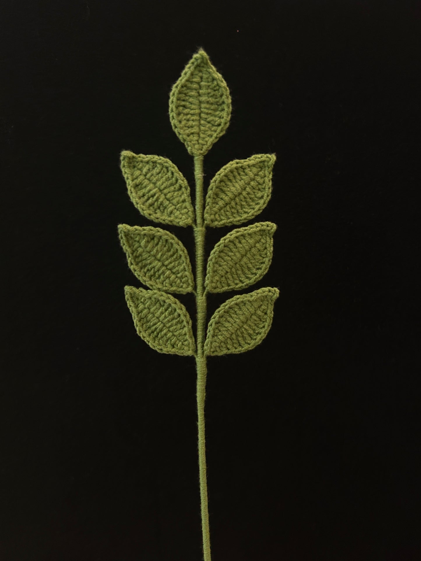 Pinnate Leaves