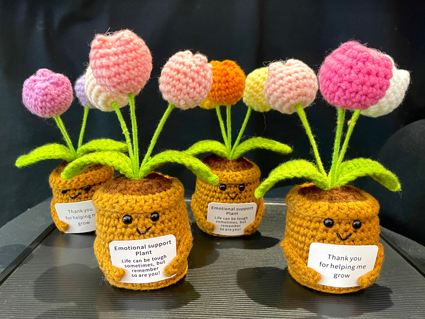 Emotional Support Plant (Tulip)