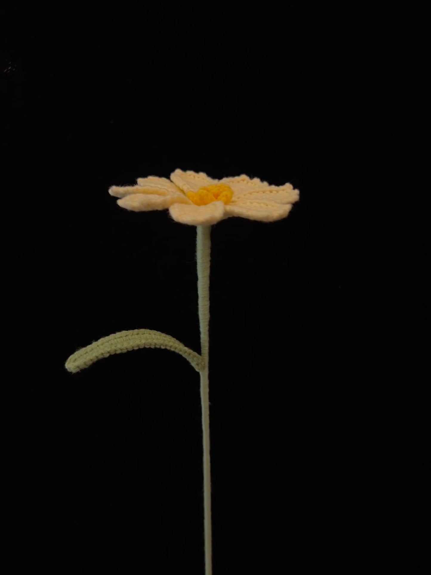 Galsang Flower