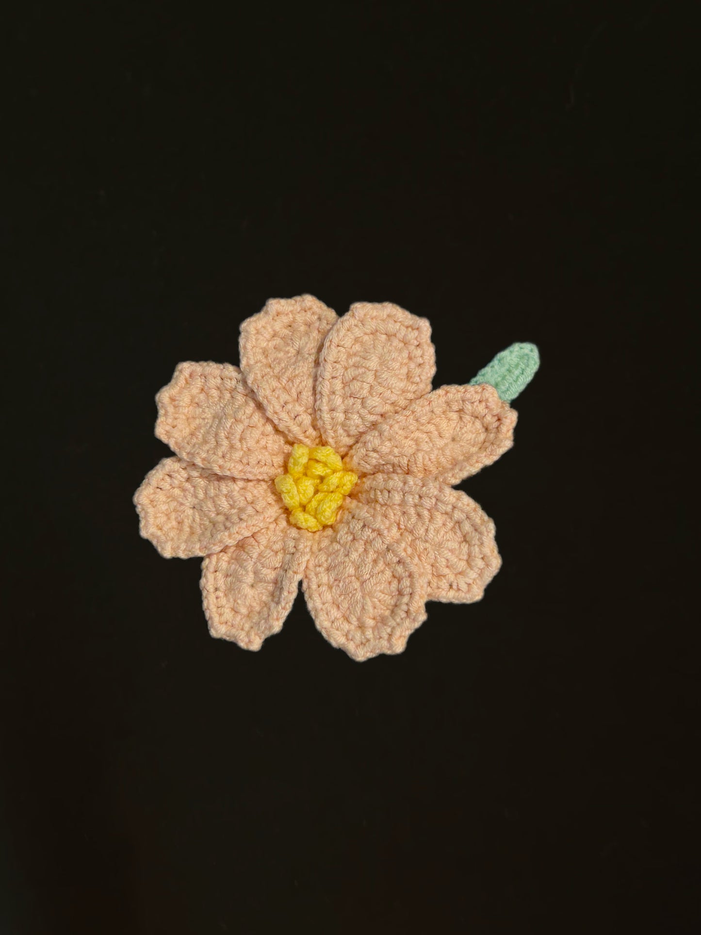 Galsang Flower