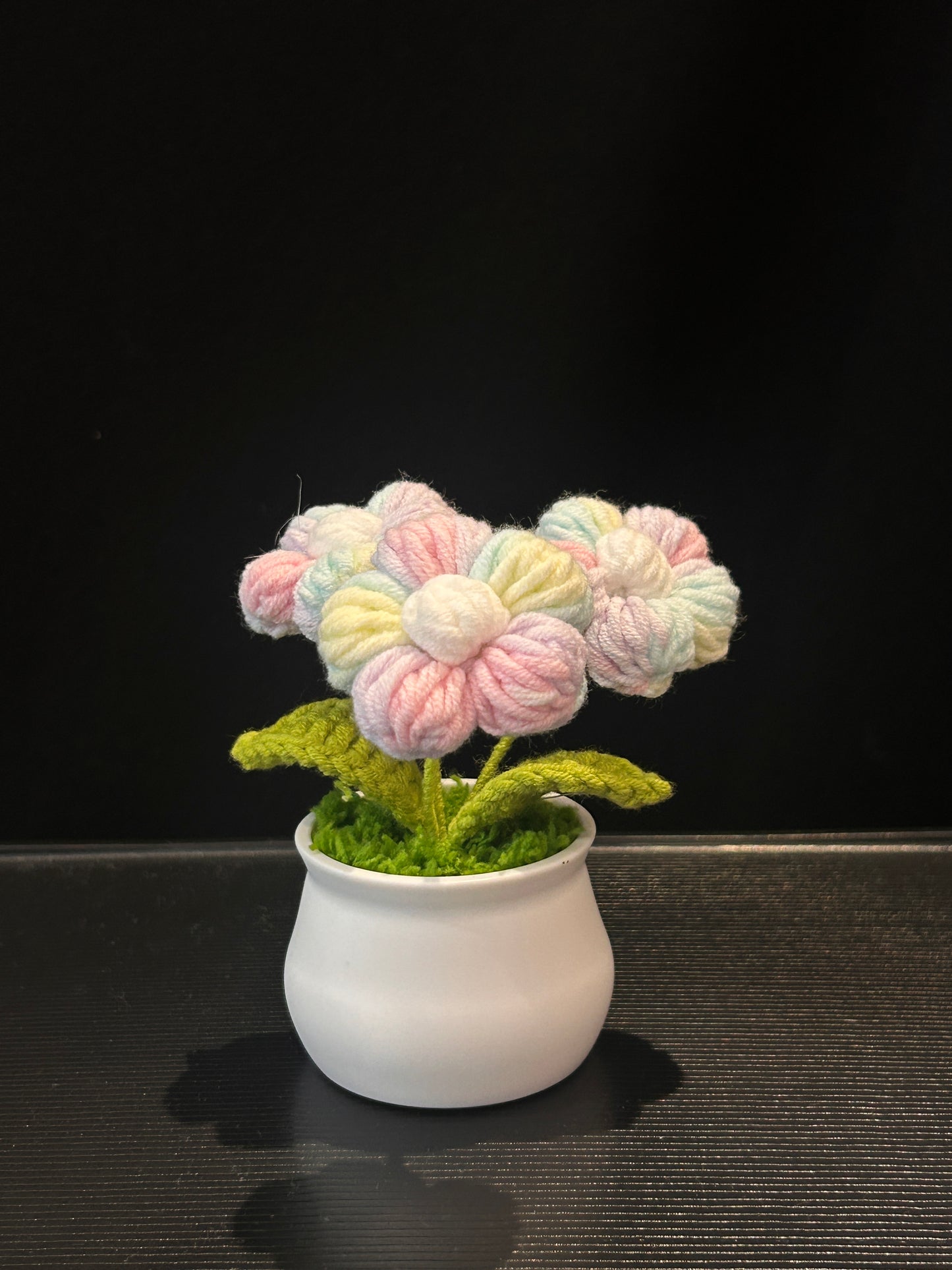Puff Flower in White Pot