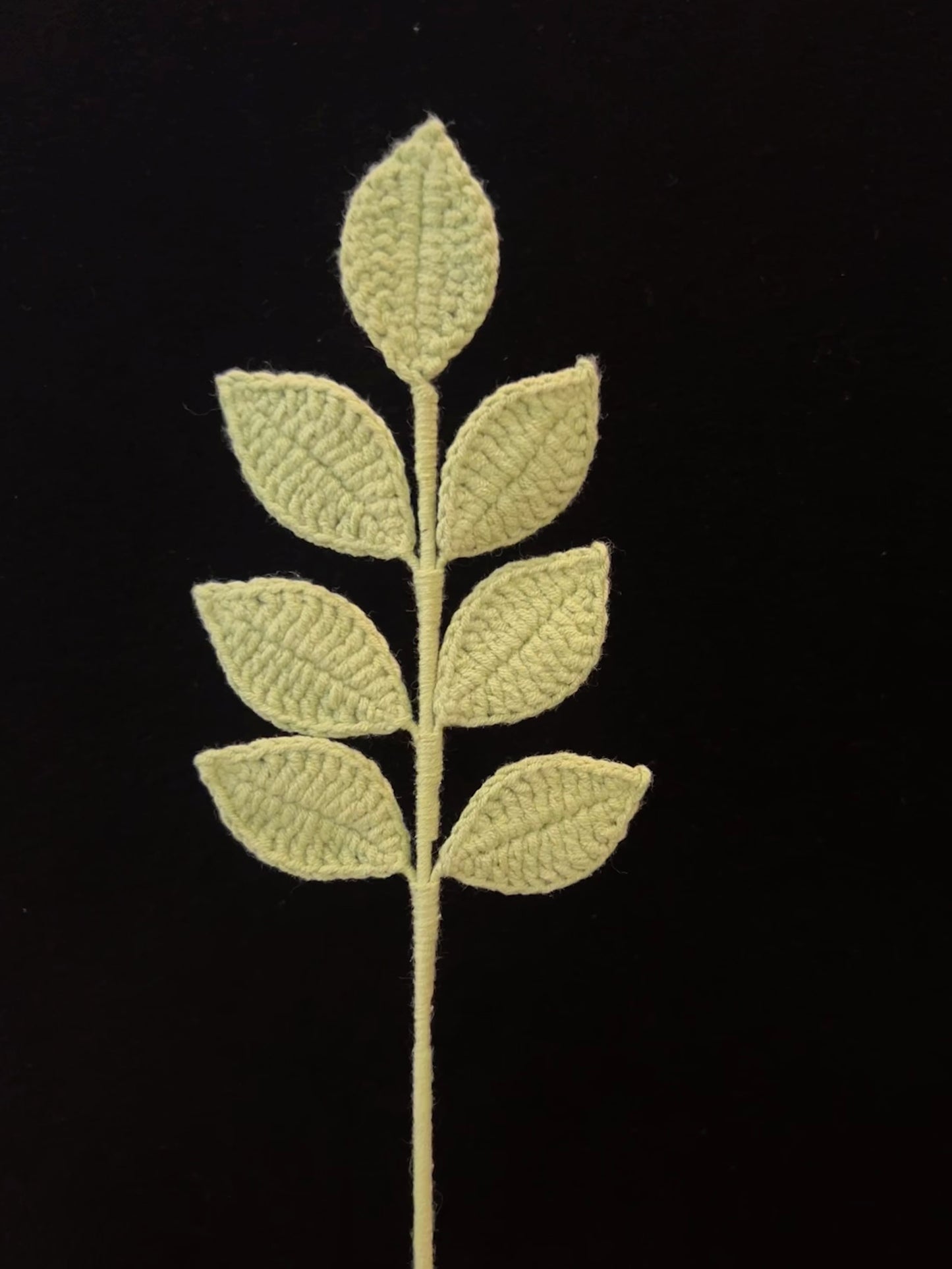 Pinnate Leaves