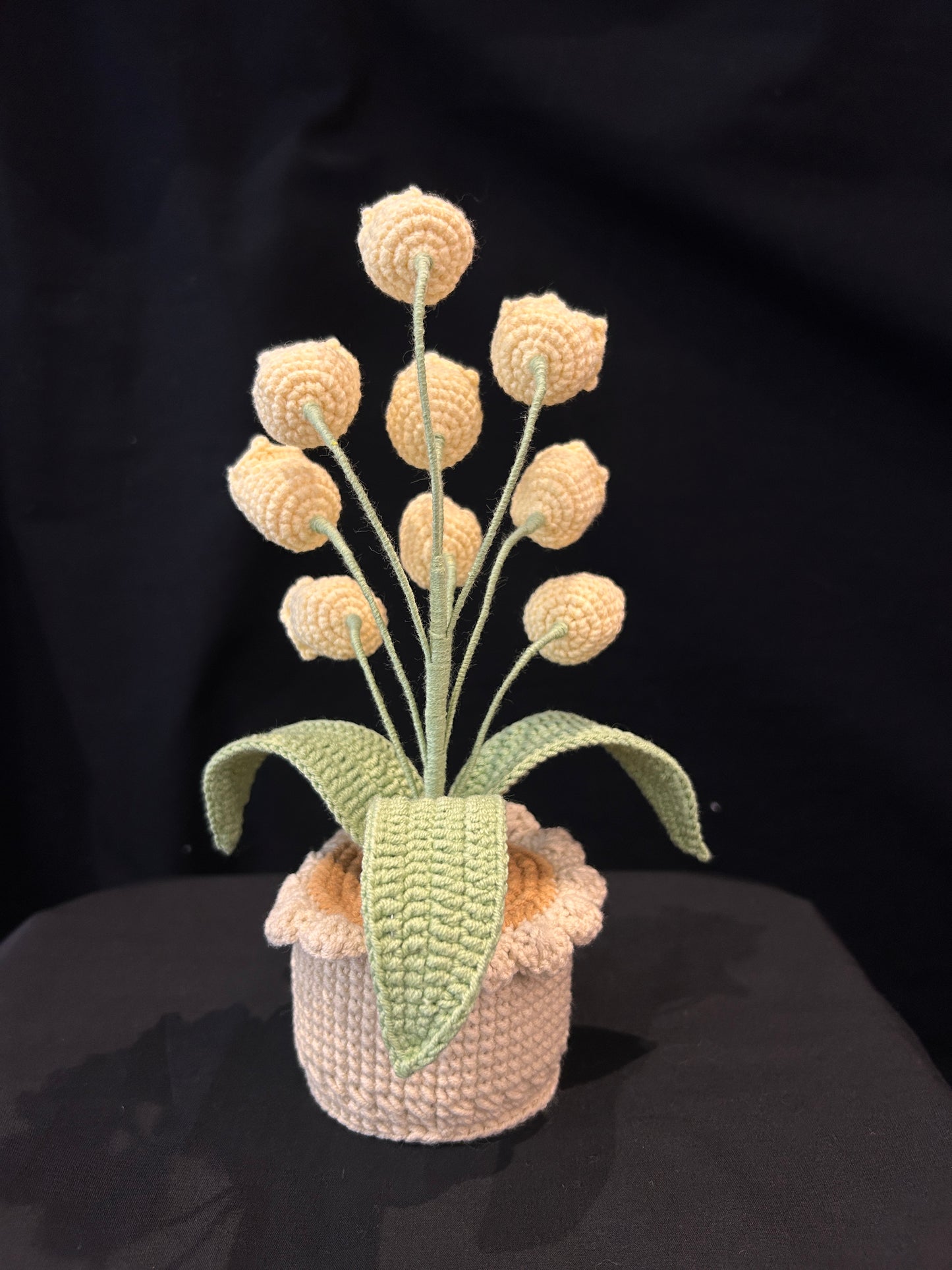 Lily of the Valley Pot