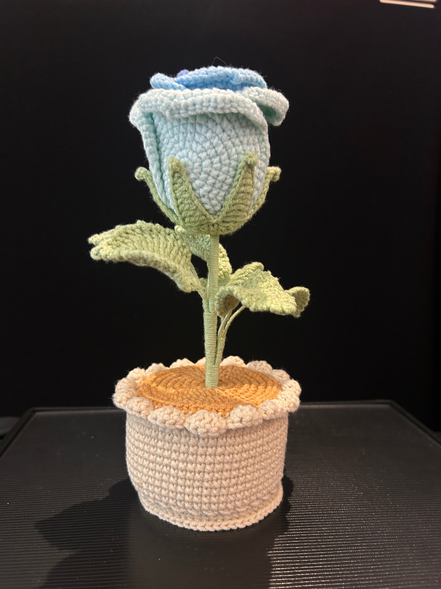 Rose Pot (Single)