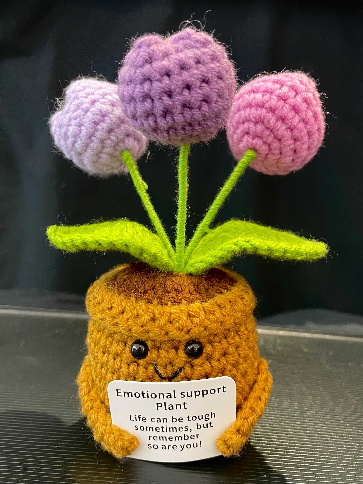 Emotional Support Plant (Tulip)
