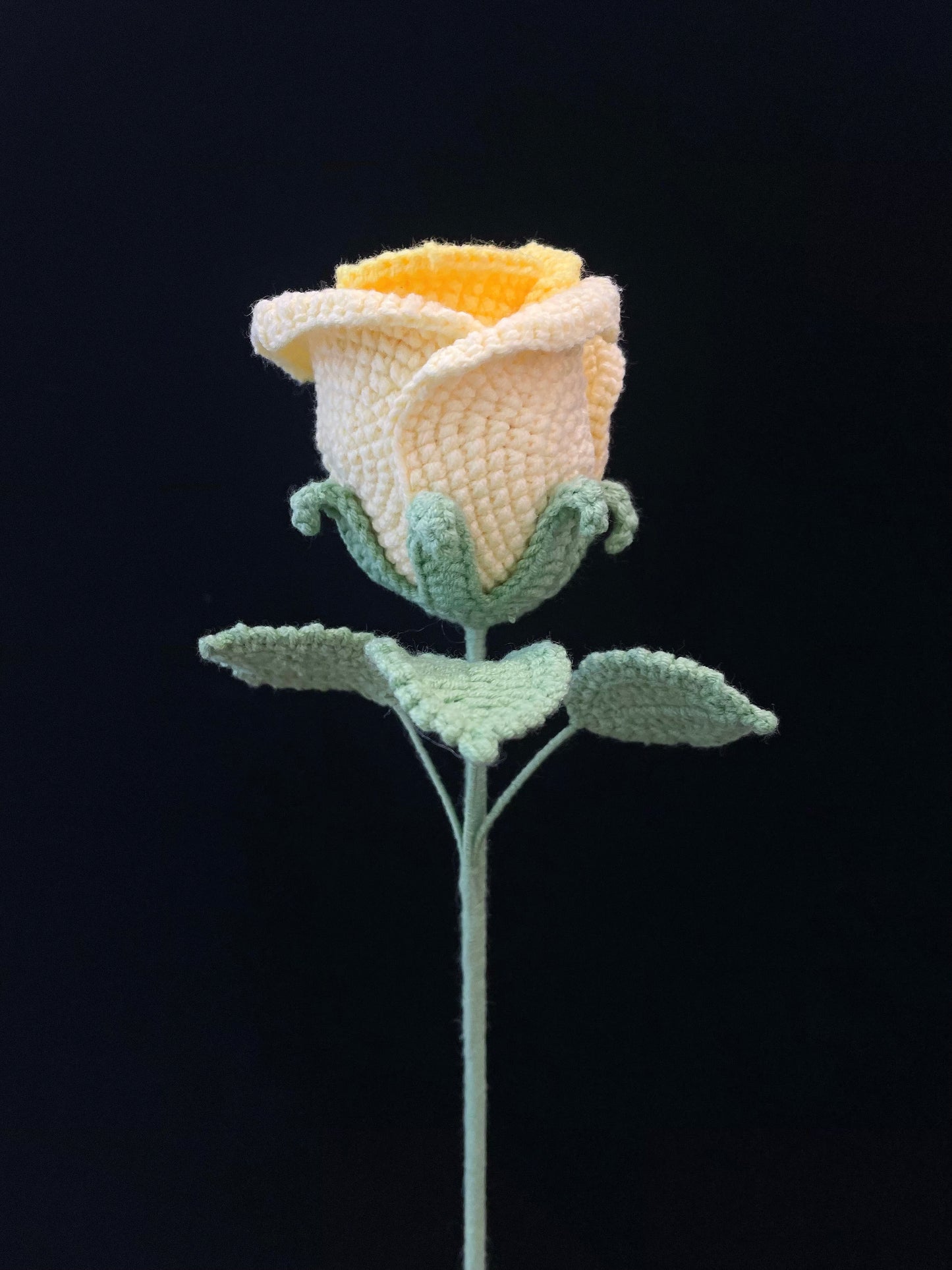 Cup-Shaped Rose