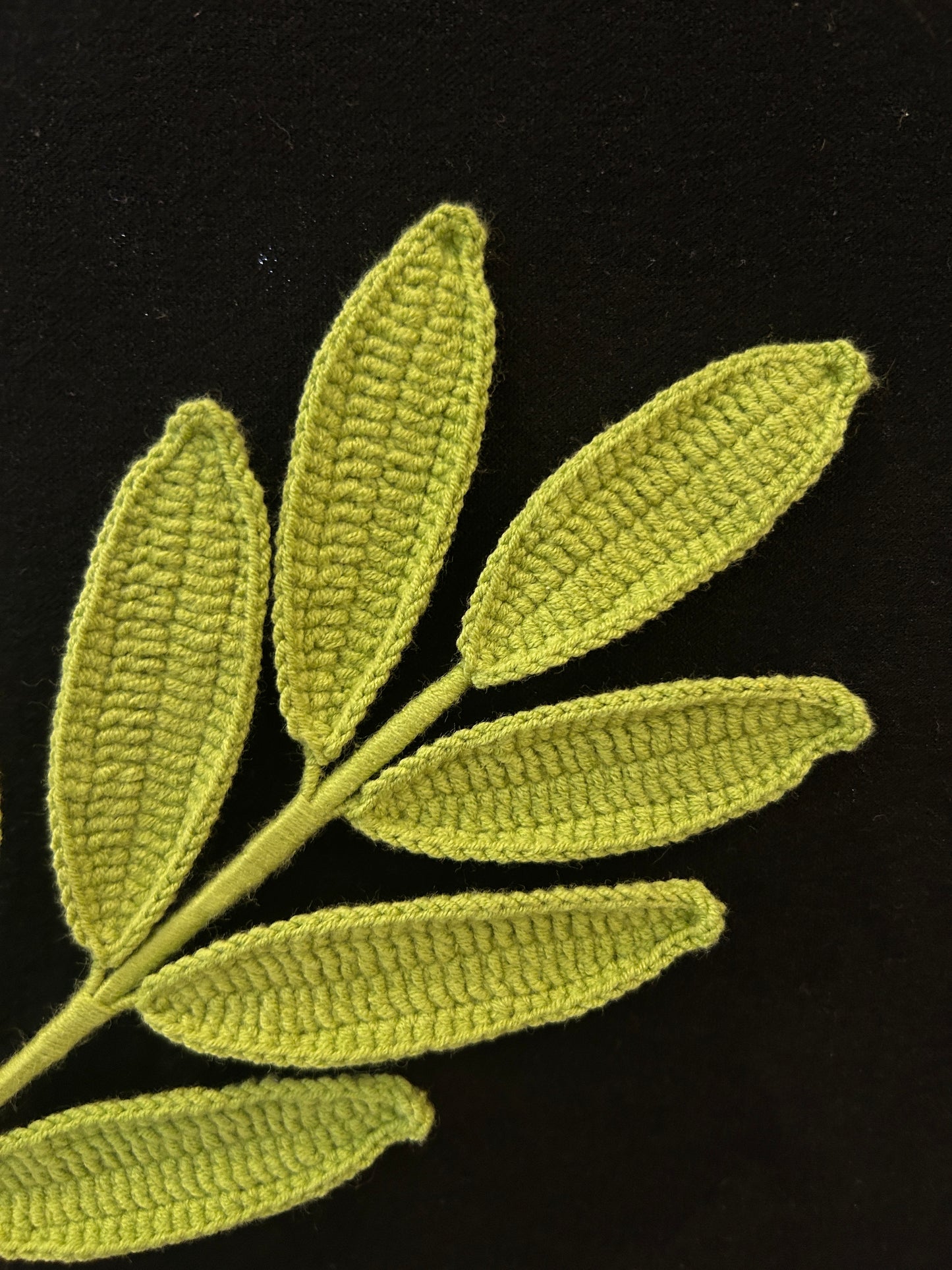 Palmate Leaf
