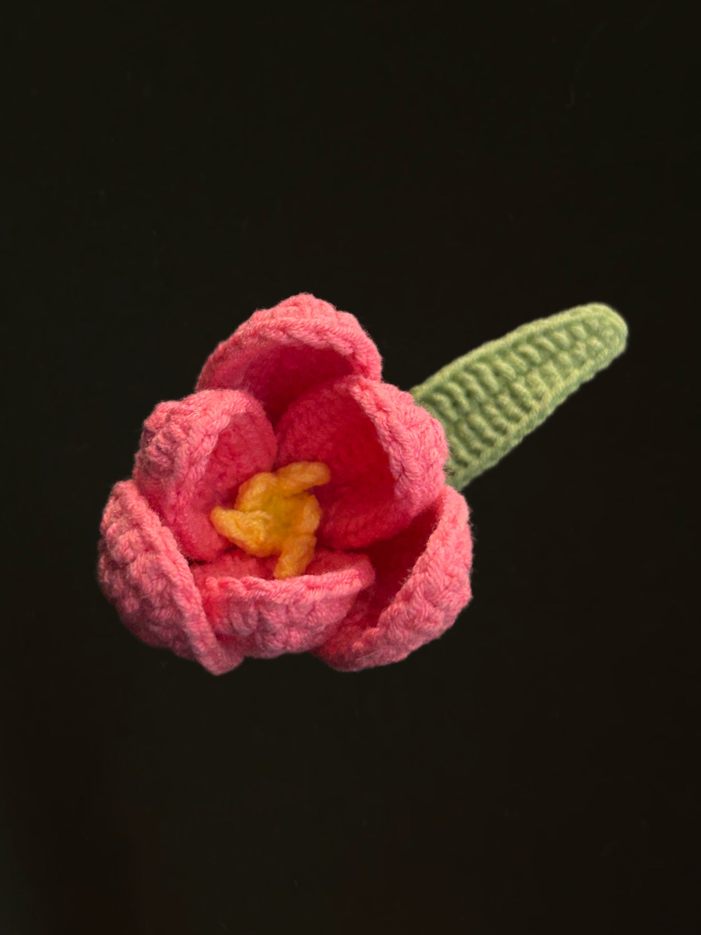 Tulip
